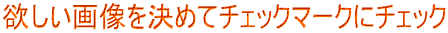 欲しい画像を決めてチェックマークにチェック 