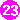 23