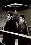 緋牡丹博徒・お竜参上