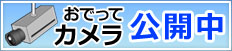 おでってカメラ公開中